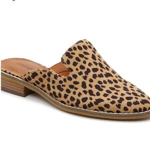 indigo rd. Mules